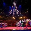 На фестивале в Монте-Карло зрители не увидят российских артистов цирка