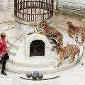 «Форт Боярд» прощается с тиграми