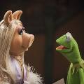 Мисс Пигги и лягушонок Кермит из «Маппет-шоу» объявили о разводе