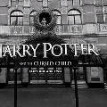 В Лондоне состоялась премьера спектакля «Гарри Поттер и проклятое дитя»