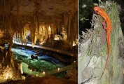 Какие тайны хранят 1000 км коридоров древней пещеры, где жили доисторические люди и водятся слепые животные