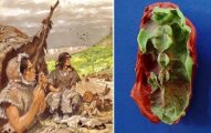 Что рассказала о древних скандинавах найденная в Швеции жвачка, которой 10 тыс. лет