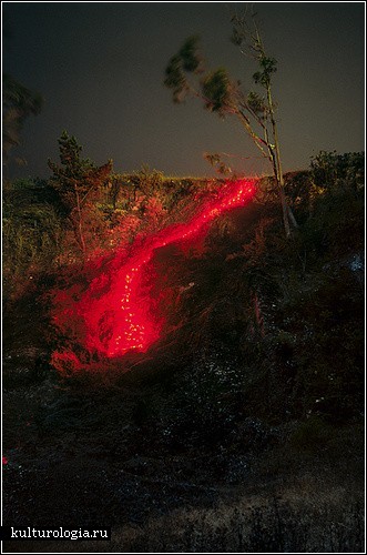 Вспышки света в природе. Фотографии Барри Андервуда