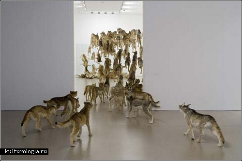 «Head On». 99 волков в инсталляции от Cai Guo-Qiang