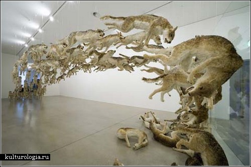 «Head On». 99 волков в инсталляции от Cai Guo-Qiang