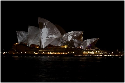 Lighting the Sails: световые инсталляции в Сиднее