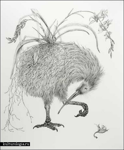 Животные + растения: рисунки карандашом от Тары Такер
