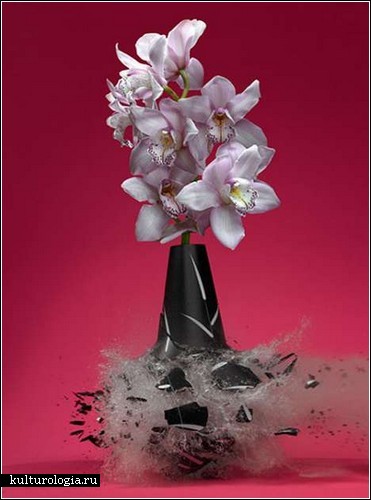 Высокоскоростные фотографии Мартина Климаса (Martin Klimas) и разбитые вазы с цветами