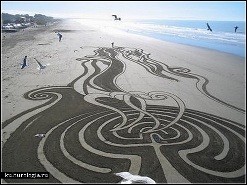 Картины на песке. Художества новозеландского автора Питера Доннелли (Peter Donnelly)