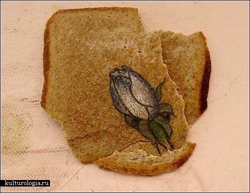 Иллюстрации на тостиках от Ксимены Ескобар (Ximena Escobar)