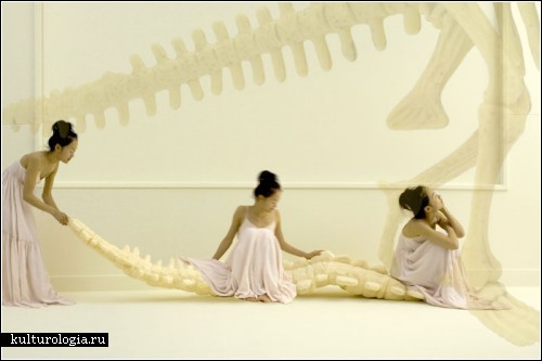 Кости динозавров в натуральную величину. Дизайнерская мебель от Саяки Ямамото (Sayaka Yamamoto)
