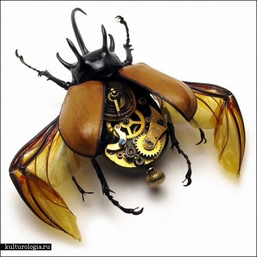 Скульптуры-роботы из насекомых. Работы студии Insect Lab и скульптора Майка Либби (Mike Libby)