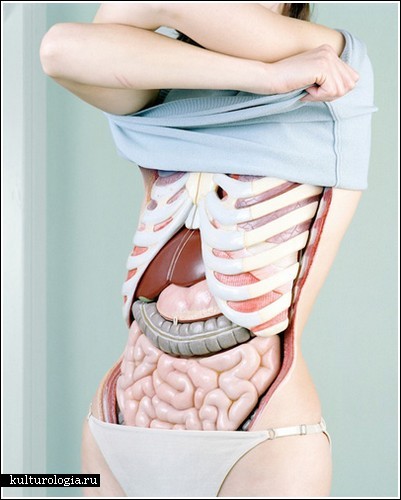 Анатомия в фотографиях от Koen Hauser