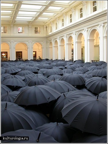 Везде зонты!