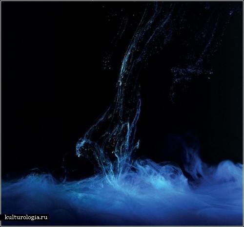 Красочные формы в водной среде. Фотографии Марка Маусона  (Mark Mawson)