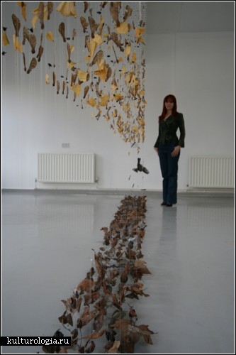 Висящие инсталляции британской художницы Клер Морган (Claire Morgan)