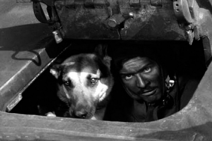 Кадр из фильма «Четыре танкиста и собака»