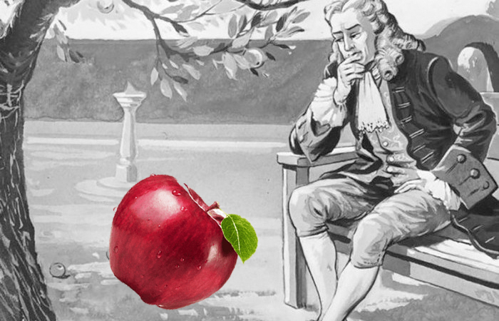 Как яблоко, упавшее на голову, помогло открыть закон физики