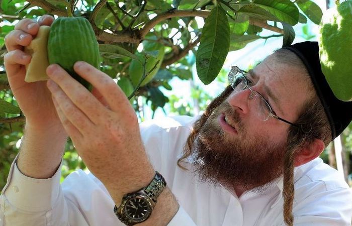 Чем хасиды отличаются от других евреев и зачем каждый год съезжаются в Украину?