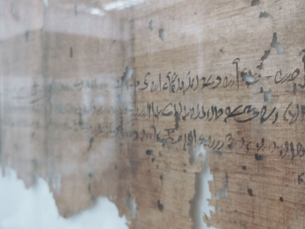 Фрагмент брачного контракта плолемеевских времён из музея о. Элефантина.