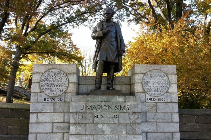 Памятник отцу современной гинекологии Дж. Мариону Симсу.