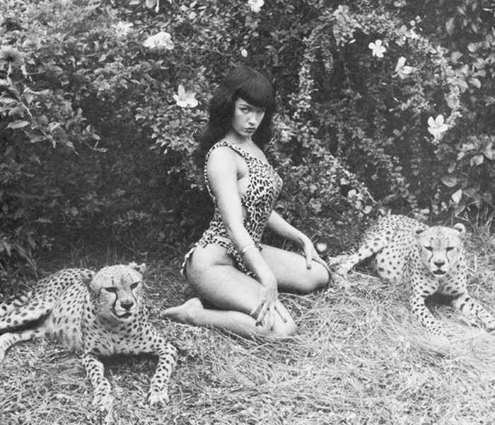 Леопардовая фотосессия Бетти Пейдж