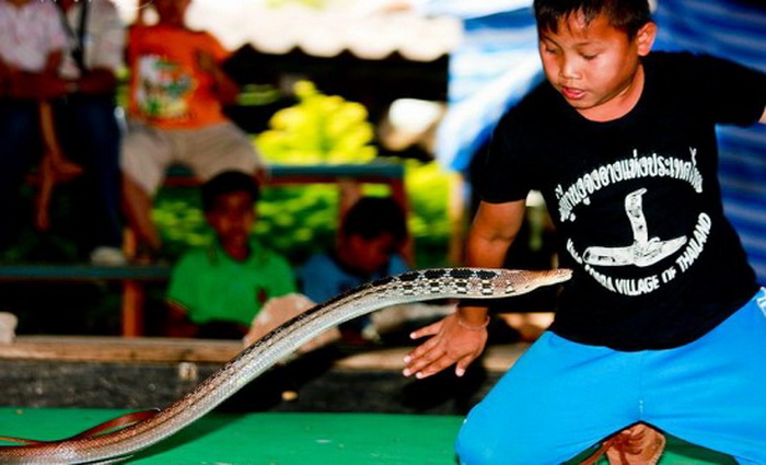 *Змеиная деревня* в Таиланде
