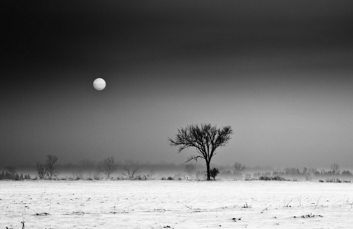 Черно-белые пейзажи от Дерека Тойе (Derek Toye)