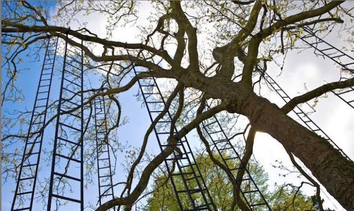 Лестницы на дереве: оригинальная инсталляция от Francois Mechain