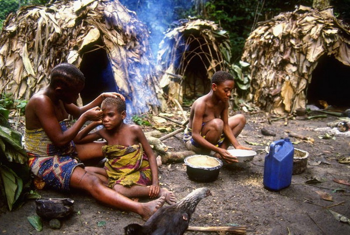 Мбути обменивают добычу на блага цивилизации у жителей деревень, расположенных неподалеку