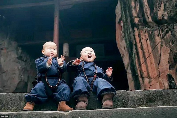 Маленькие монахи - малыши, которые покорили Интернет