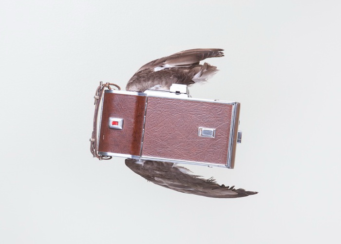Birds of Aperture: летающие фотоаппараты от Пола Октавиуса