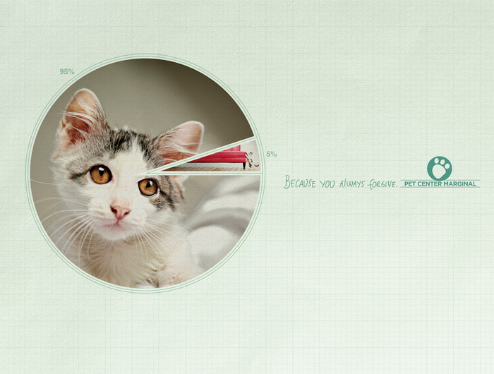 Реклама центра домашних животных Marginal