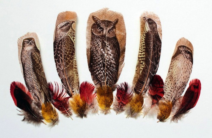 Перья вместо холста: удивительные рисунки птиц от Ребекки Джуэлл (Rebecca Jewell)