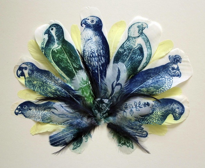 Перья вместо холста: удивительные рисунки птиц от Ребекки Джуэлл (Rebecca Jewell)