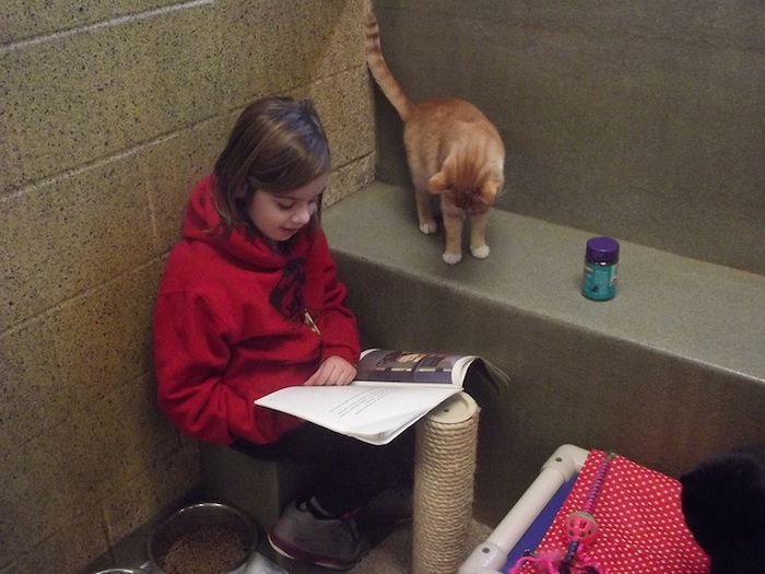 Книжные приятели: дети и кошки