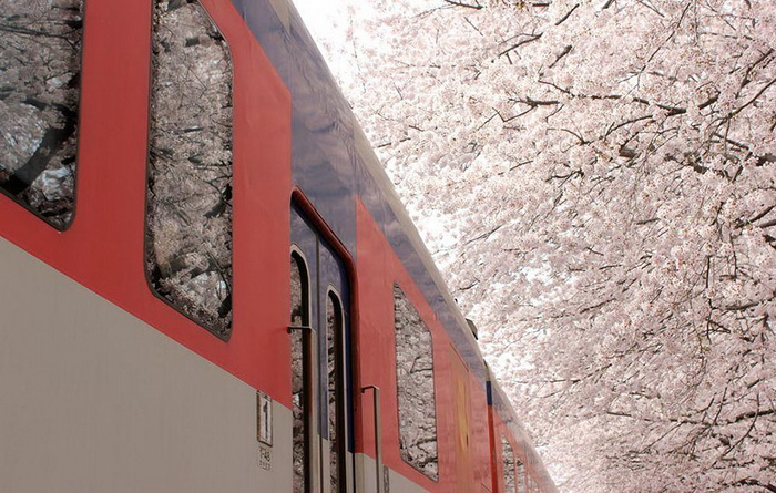 Проезжающий поезд. Фотограф Janvika Shah