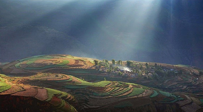 Яркие краски на полях Дончуаня (Dongchuan)