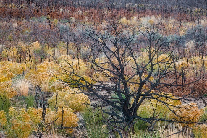 Осеннее очарование пустыни Юта. Серия живописных пейзажей от Emmanuel Coupe