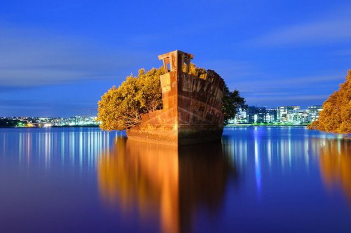 SS Ayrfield: Корабль - плавающий лес (Сидней, Австралия)