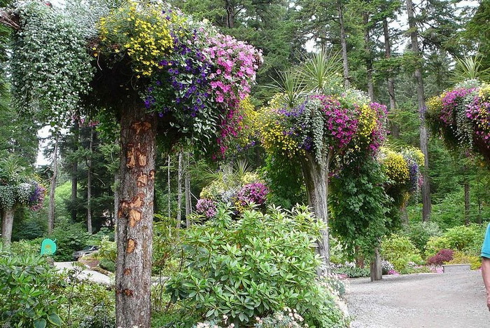 Ботанический сад Glacier Gardens на Аляске