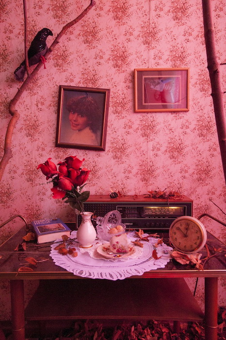 Инсталляция «Grandma's Den» по мотивом сказки о Красной Шапочке