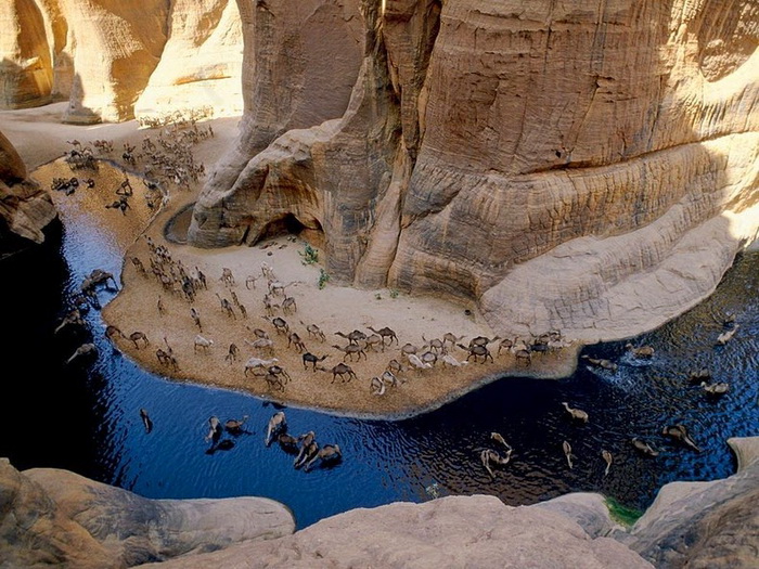 Гельта д’Аршей (Guelta d'Archei) – живописный оазис в пустыне Сахара