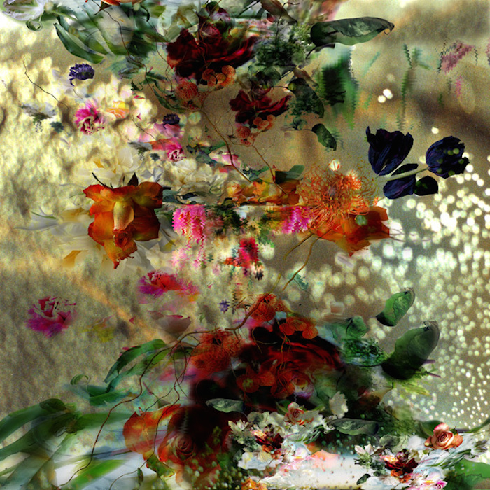 Загадочные фотографии цветов от Изабель Менин (Isabelle Menin)