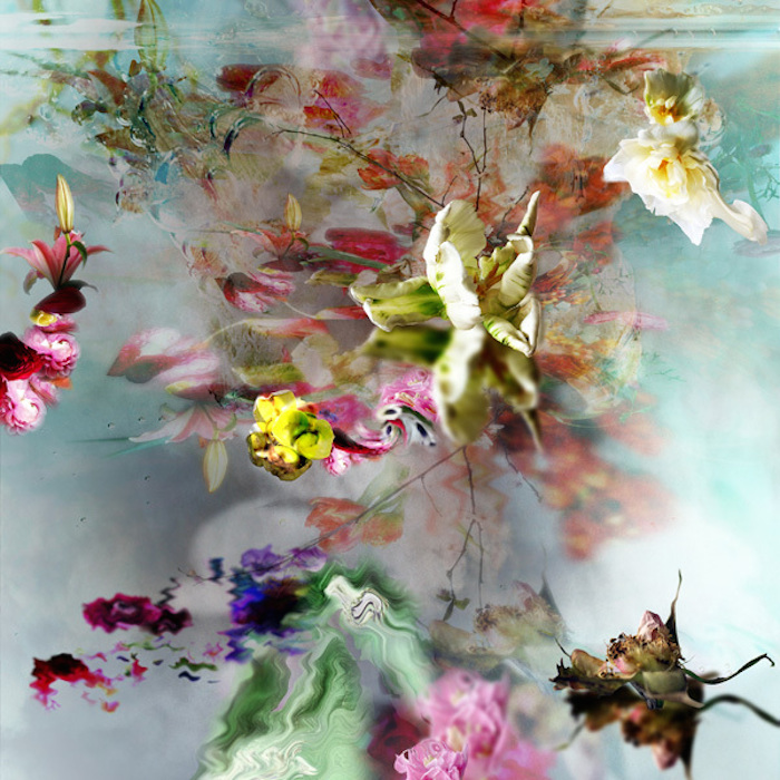 Загадочные фотографии цветов от Изабель Менин (Isabelle Menin)