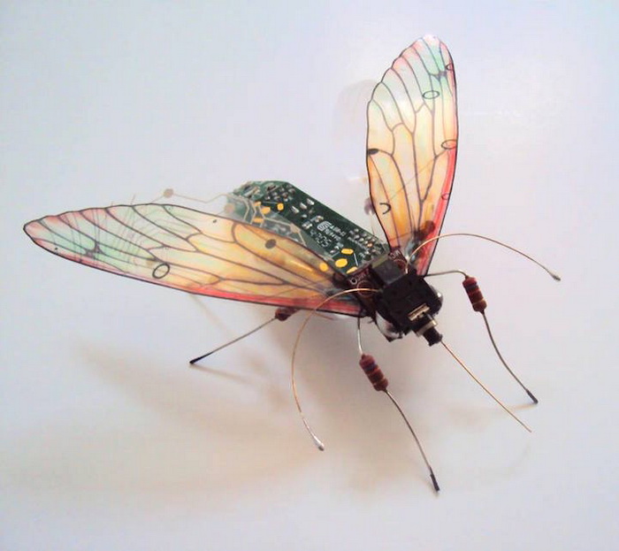 Очаровательные миниатюрные бабочки. Работы Джулии Элис Чаппелл (Julie Alice Chappell)