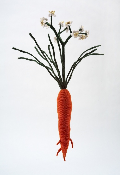 Дикая морковь. Вязаные работы Татьяны Янишевской