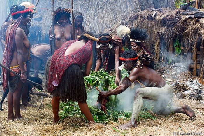 Дикое племя куку-куку