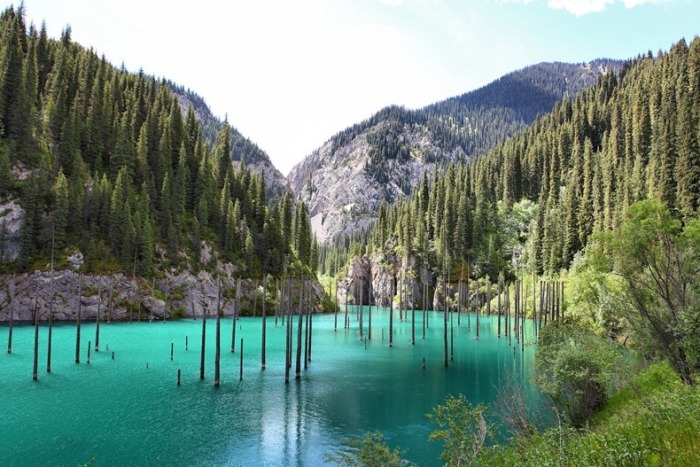 Озеро Кaindy в Казахстане