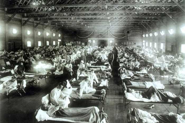 Пандемия испанского гриппа.